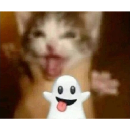 :jijear: :jijear: